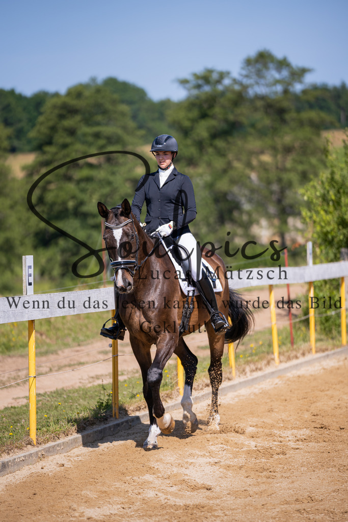 A7V07853 | Turnier/Reitfotograf