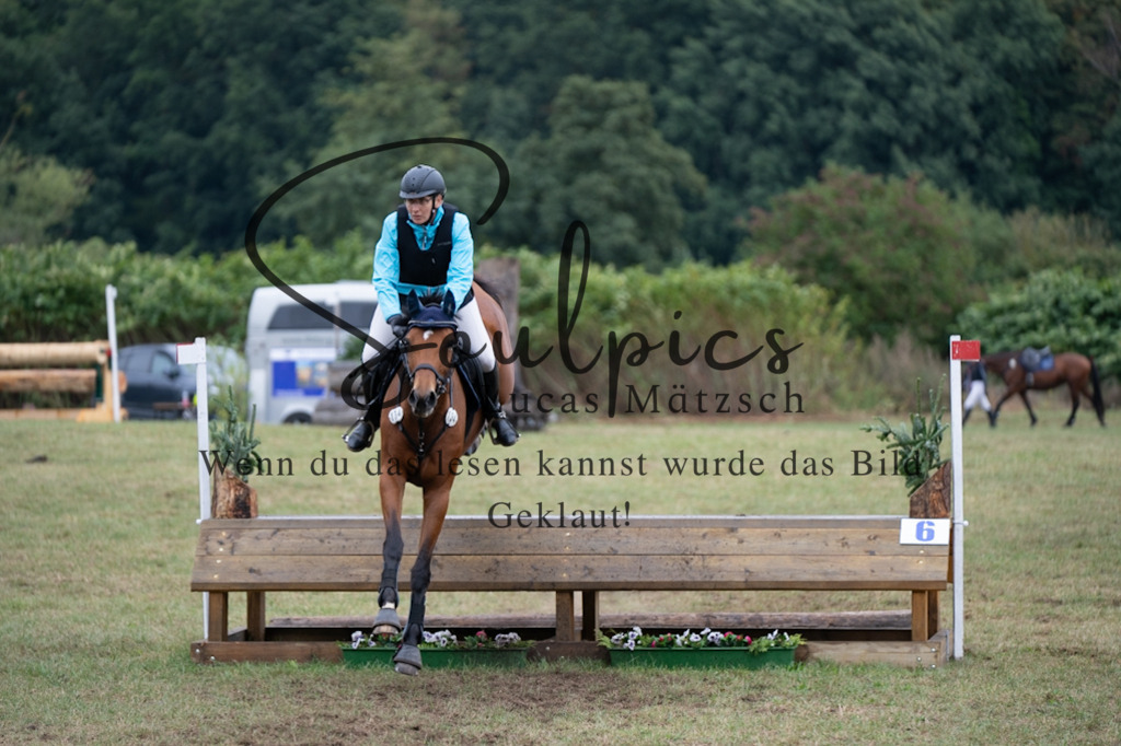 A7V00262 | Pferdefotograf