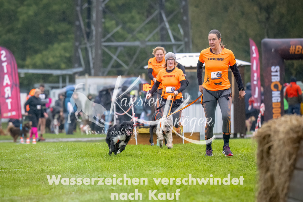 1008-2-2 | kk-dogfotos