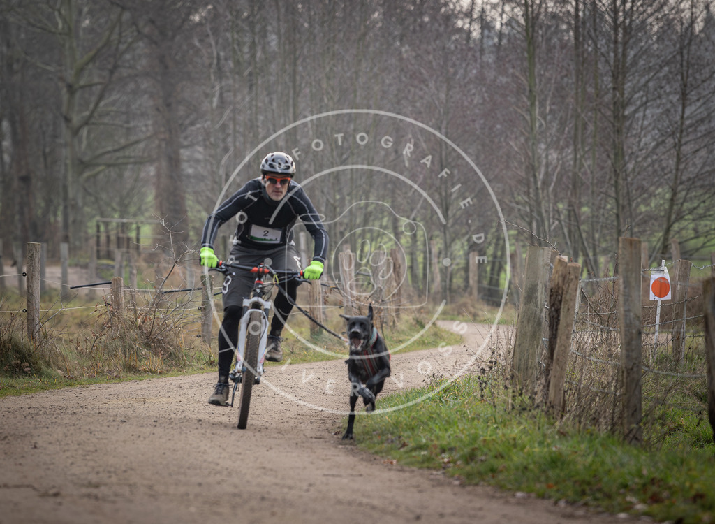 Pfotenfotografie_DV3A1492 | Hundefotografie, Tierfotograf, Pfotenfotografie, Fotoshooting Hund, Hunde Portrait, Hundesport, Hundeportraits, Heideshooting, Hunde, Sportfotograf, Hundefotograf, Turnierhundsport, THS,  - Realisiert mit Pictrs.com