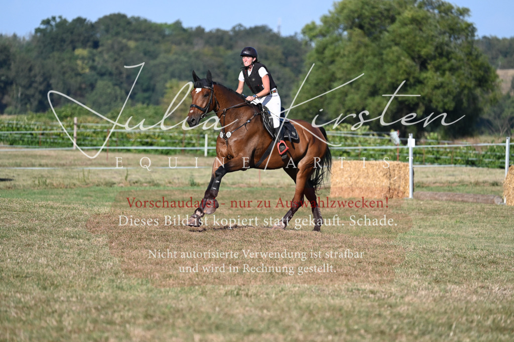 DSC_9038 | Pferde- und Turnierfotografie in Westsachsen. Pferdeportraits, Auftragszeichnungen und intuitive Kunst.