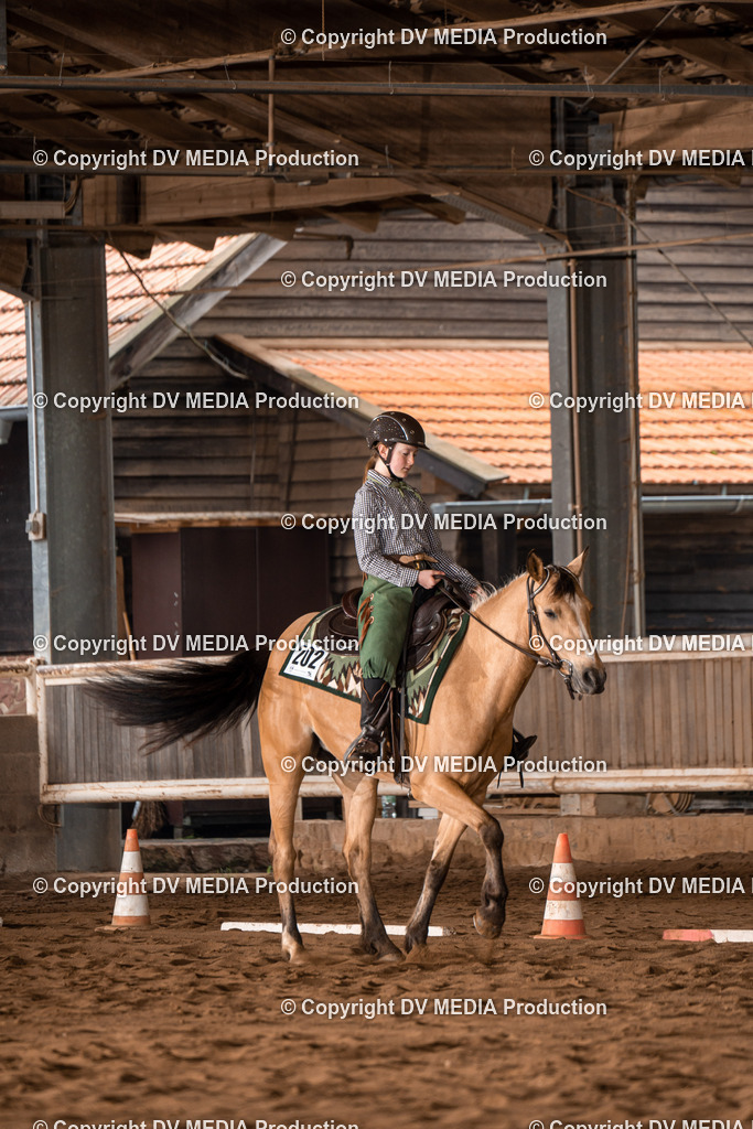Erbach Tag 2-295 | dv-media-shop - Realisiert mit Pictrs.com