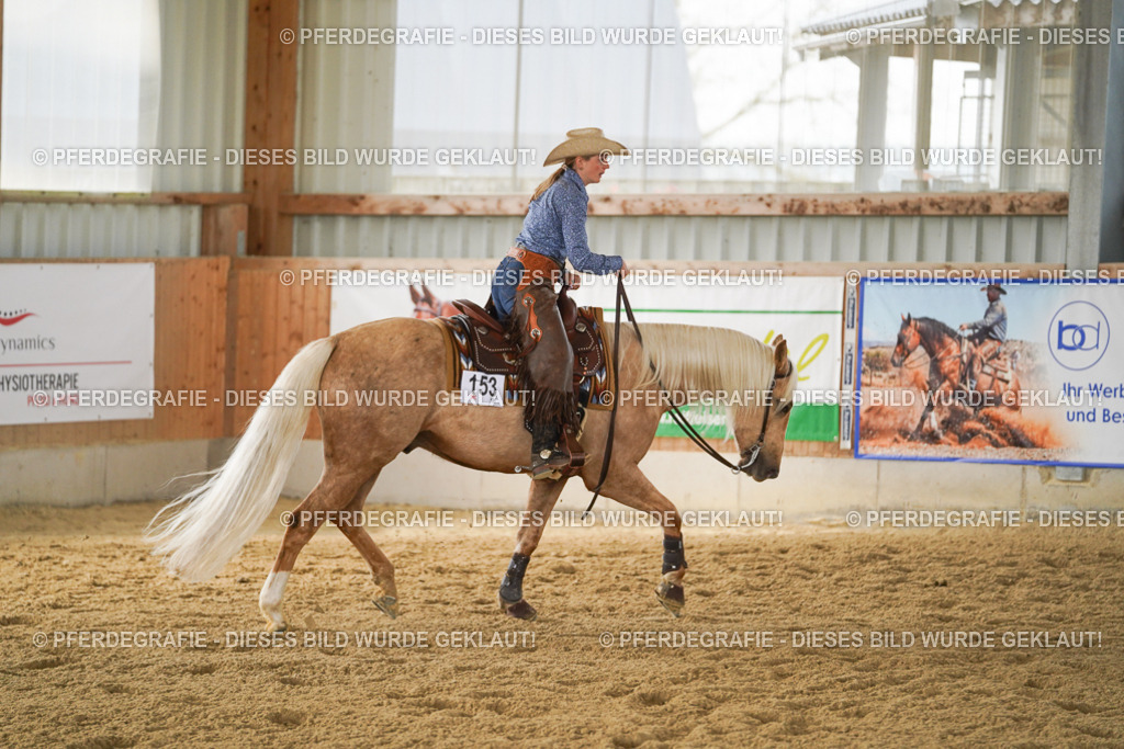 DSC05869 | Pferdegrafie