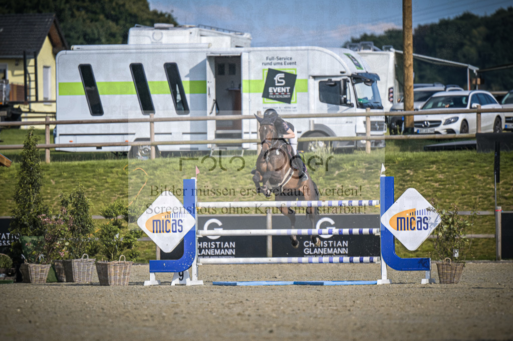 DOS_2460 | Entdecke hochwertige Reitturnierfotos von Foto Oger. Professionell, emotional und authentisch – jetzt Lieblingsmomente im Shop bestellen.Deutschlandweite Turnierfotografie. - Realisiert mit Pictrs.com