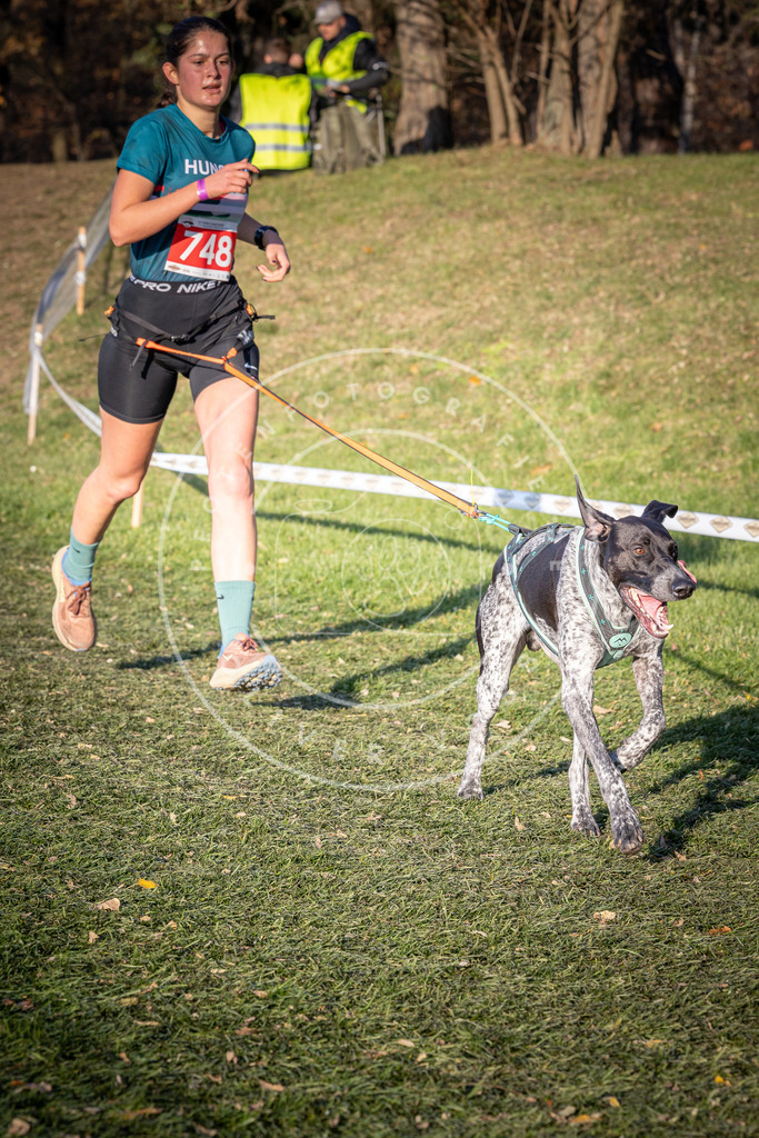CaniXpix_0L8A9885 | Hundefotografie, Tierfotograf, Pfotenfotografie, Fotoshooting Hund, Hunde Portrait, Hundesport, Hundeportraits, Heideshooting, Hunde, Sportfotograf, Hundefotograf, Turnierhundsport, THS,  - Realisiert mit Pictrs.com