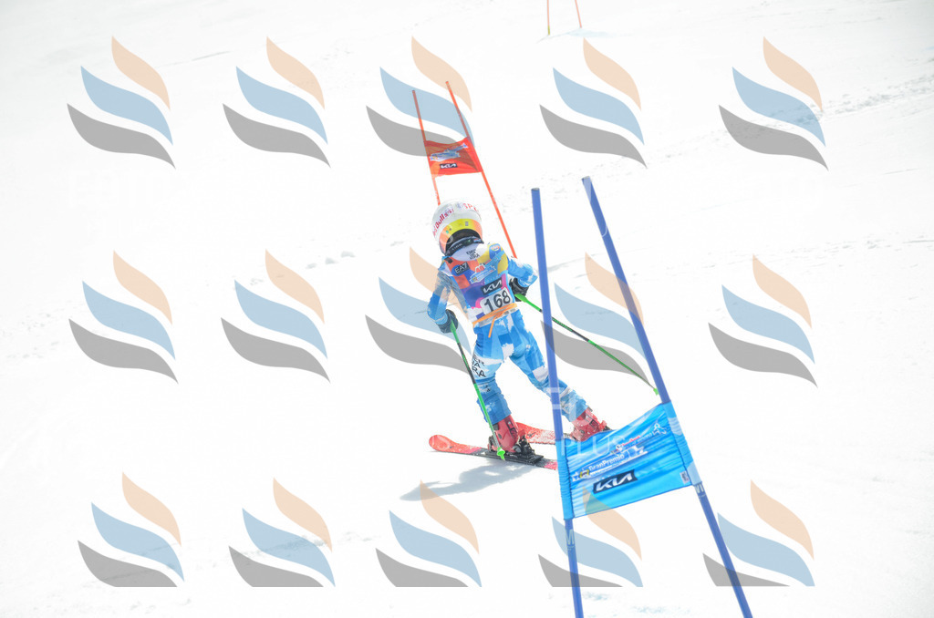 _ELE6528 | holidayphoto