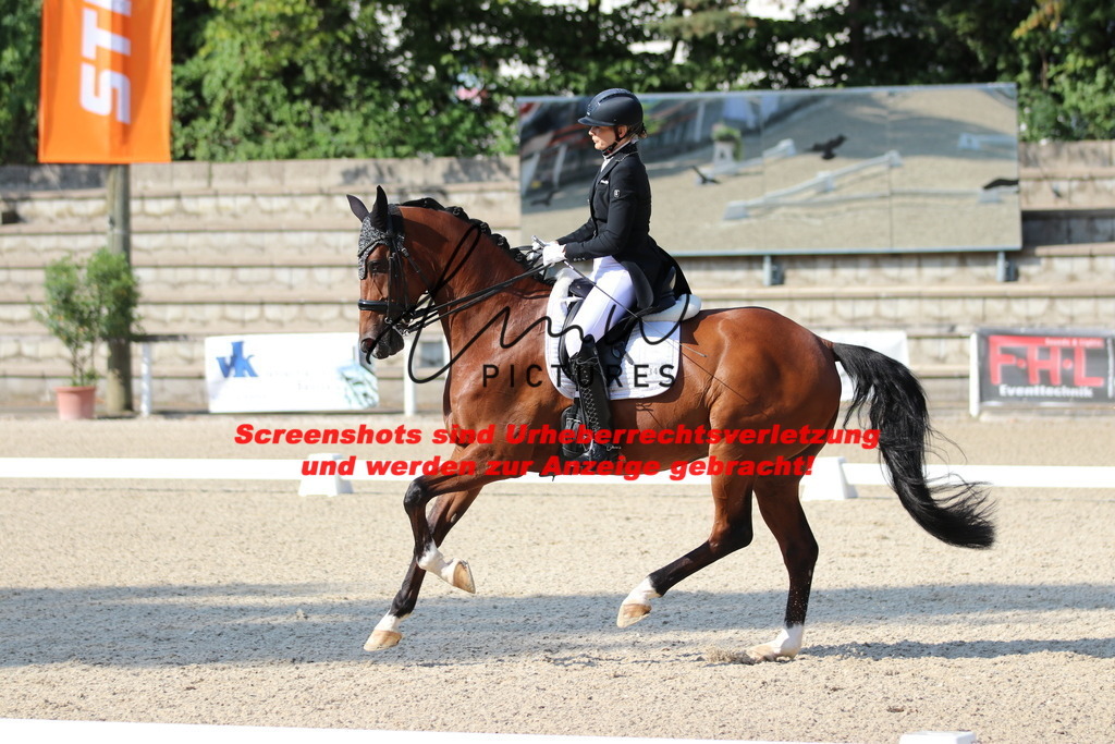 IMG_9141 | lmwpictures - Realisiert mit Pictrs.com