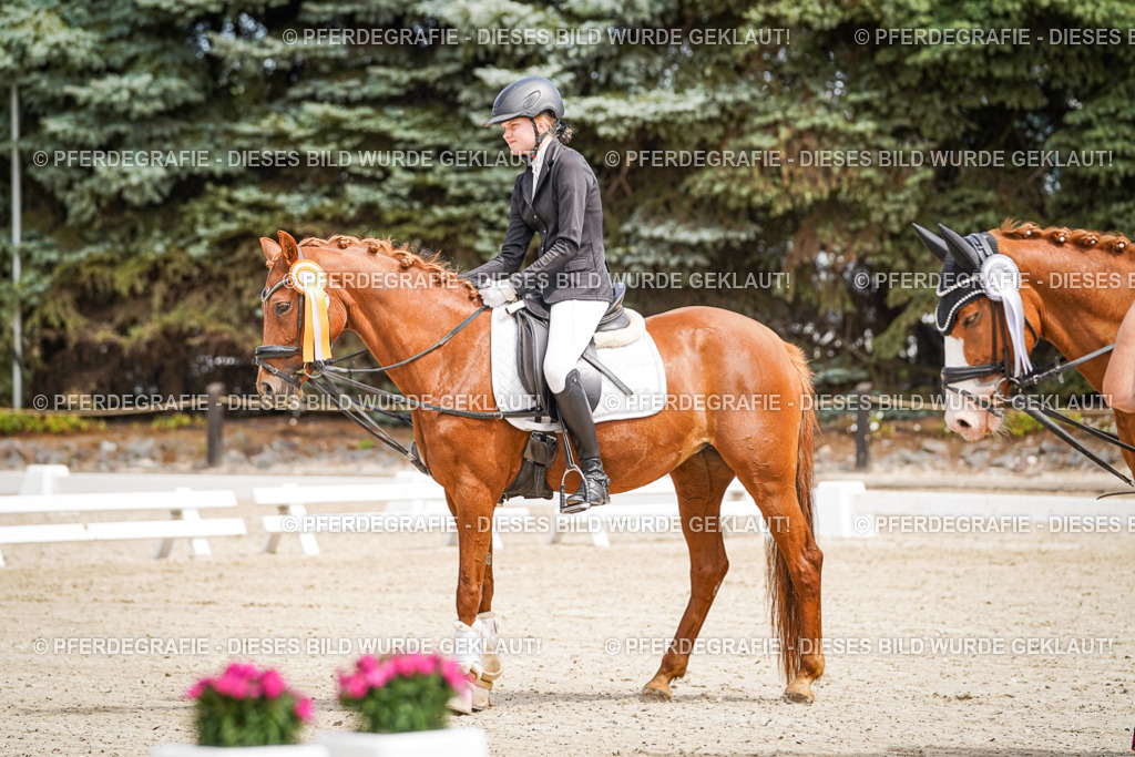 DSC02627 | Pferdegrafie