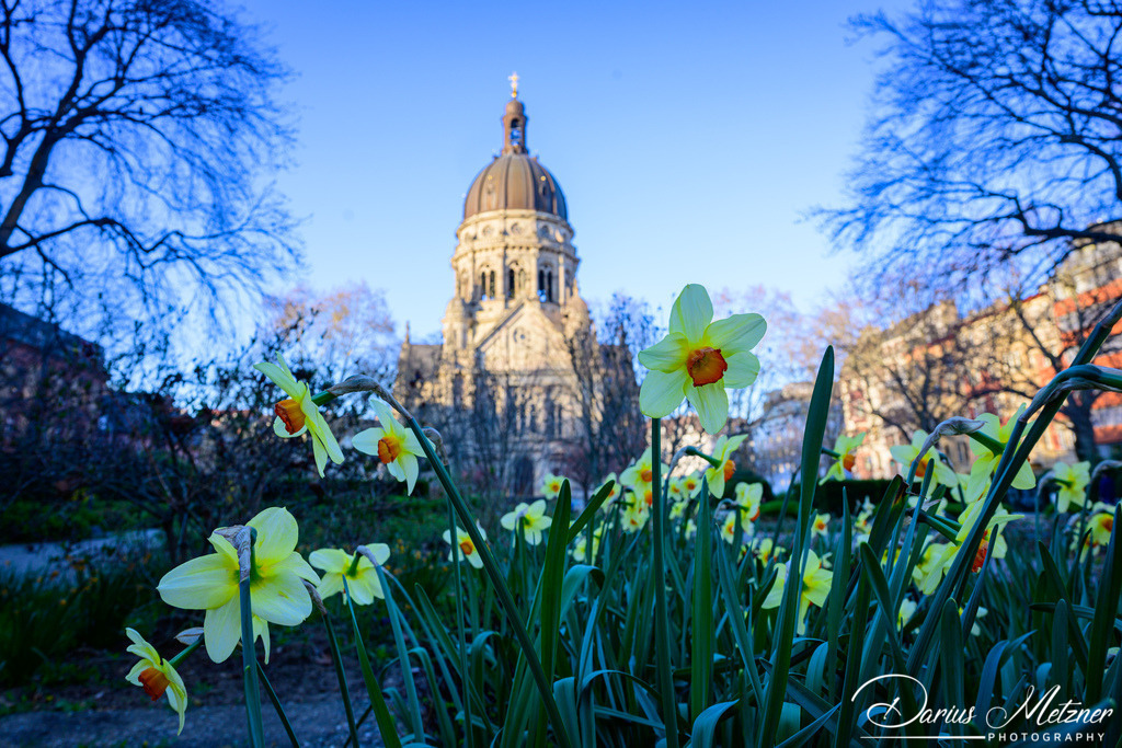 DSC_6787 | Fotografien, Fotos und Bilder aus Mainz, Frankfurt, Wiesbaden und anderen Orten auf der Welt - Fotografiert von Darius Metzner