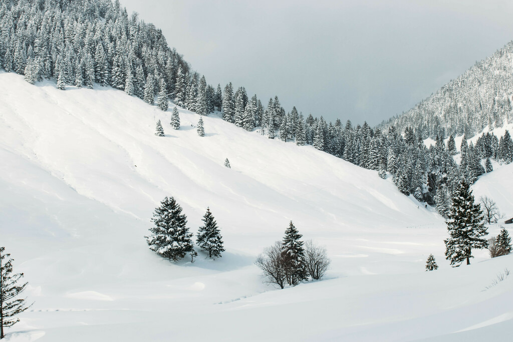 IMG_8599 | Print Shop 
Fotografie
Posterdruck
Landschaftsfotografie
Reisefotografie
Naturfotografie
Anja Brandes Poster 
Anja Brandes Photography 
Prints for Walls 
Printable 
Posterdrucke
Poster aesthetic 
Poster Wall 
Poster Prints 
Poster schwarz weiß - Realisiert mit Pictrs.com