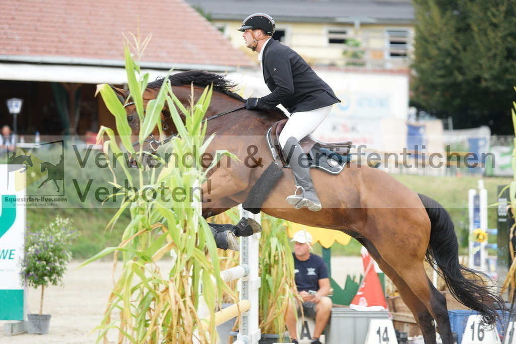 DSC03602 | equestrian-live-com