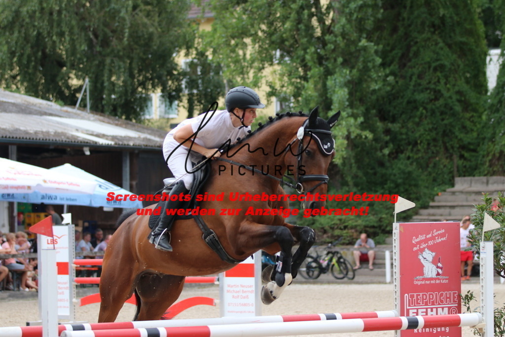 IMG_2292 | lmwpictures - Realisiert mit Pictrs.com