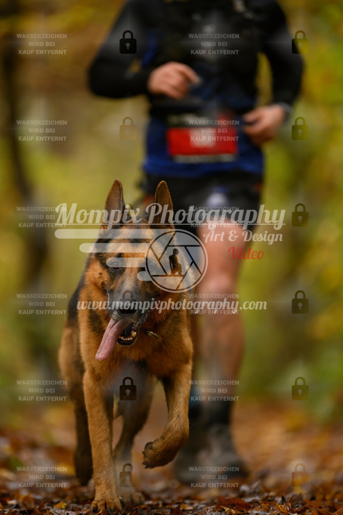 MompixPhotography_CD7S_DI_CCL-96 | mompixphotography