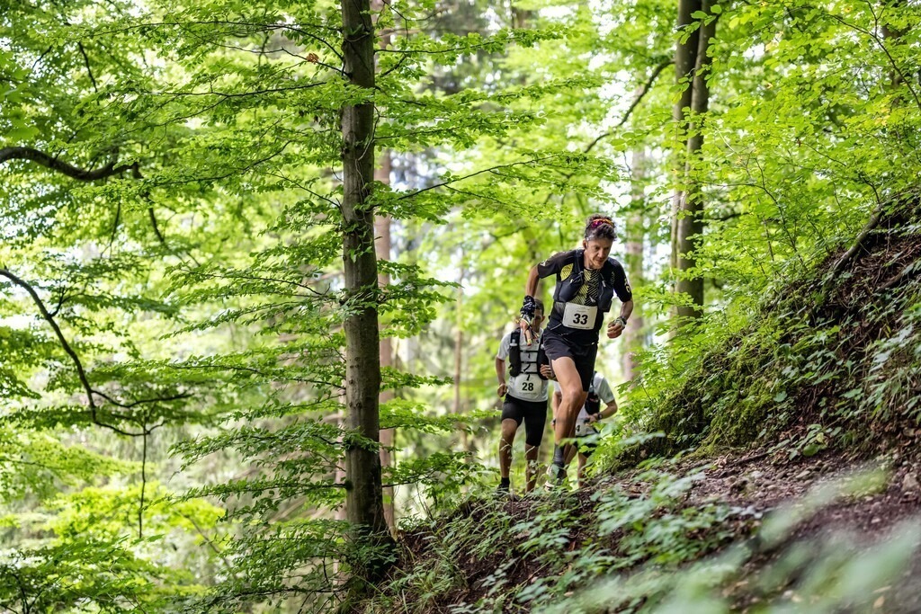 36. Gebirgsmarathon | Immenstadt, 23.08.2025 - 36. Gebirgsmarathon im Naturpark Nagelfluhkette. Einer der anspruchsvollsten​und ältesten Bergläufe​Deutschlands.Foto: Dominik Berchtold/www.dberchtold.com