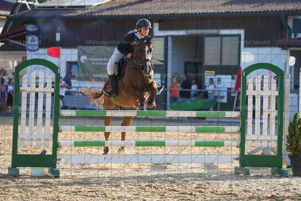 20240824-FAH08753 | Thierhaupten 2024, Bayerisches Landesponyturnier, Turnierbilder, Ponybilder, Turnierfotografen Bayern, Fotoagentur Herrmann