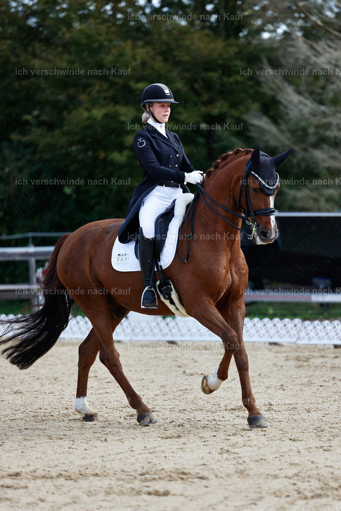 10-061-ST.GEORG SPECIAL -StoibPH-3142 | working equitationturnier fotograf videograf stoibphotography marixx film working equitation deutschland reitsport turnierfotografie eventfotografie equestrian events