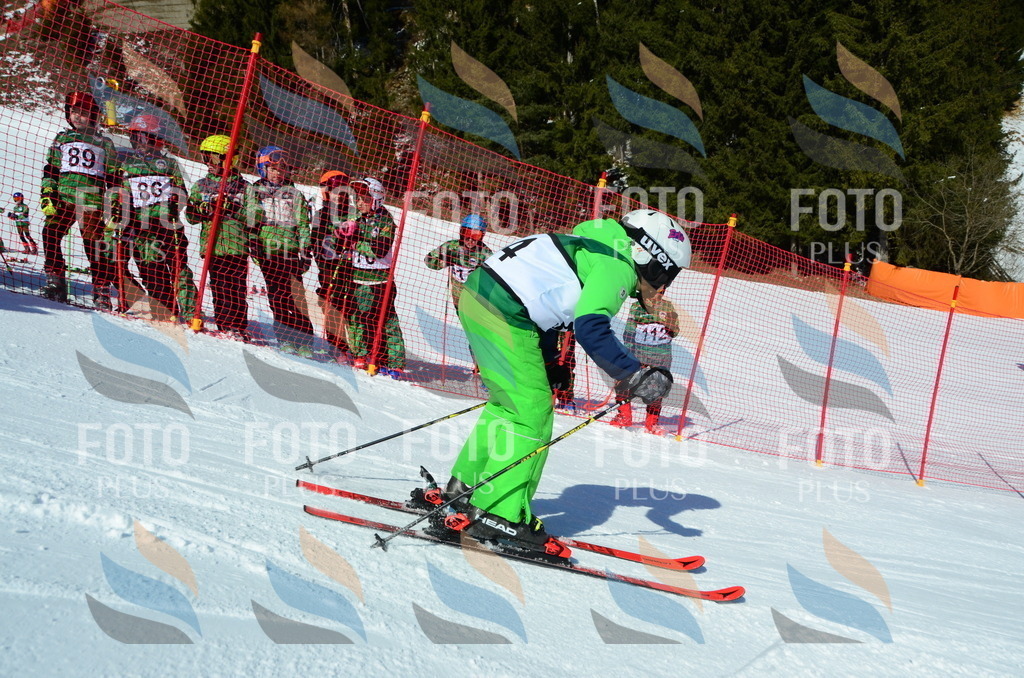 C5267 | holidayphoto