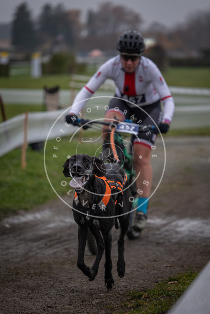 CaniXpix_0L8A1376 | Hundefotografie, Tierfotograf, Pfotenfotografie, Fotoshooting Hund, Hunde Portrait, Hundesport, Hundeportraits, Heideshooting, Hunde, Sportfotograf, Hundefotograf, Turnierhundsport, THS,  - Realisiert mit Pictrs.com