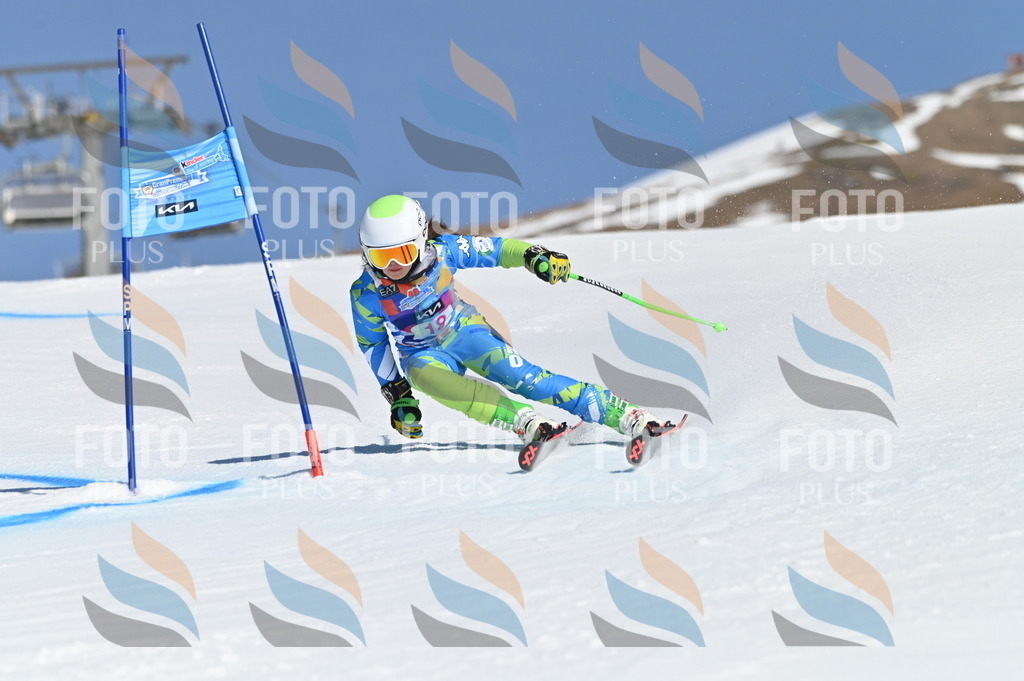 BGV_7915 | holidayphoto