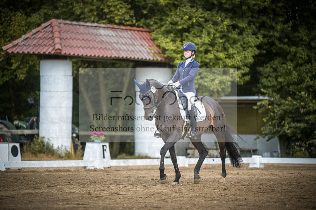 DOS_4636 | Entdecke hochwertige Reitturnierfotos von Foto Oger. Professionell, emotional und authentisch – jetzt Lieblingsmomente im Shop bestellen.Deutschlandweite Turnierfotografie. - Realisiert mit Pictrs.com