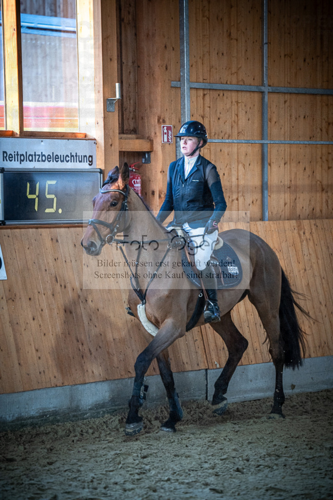 DOS_1140 | Entdecke hochwertige Reitturnierfotos von Foto Oger. Professionell, emotional und authentisch – jetzt Lieblingsmomente im Shop bestellen.Deutschlandweite Turnierfotografie. - Realisiert mit Pictrs.com