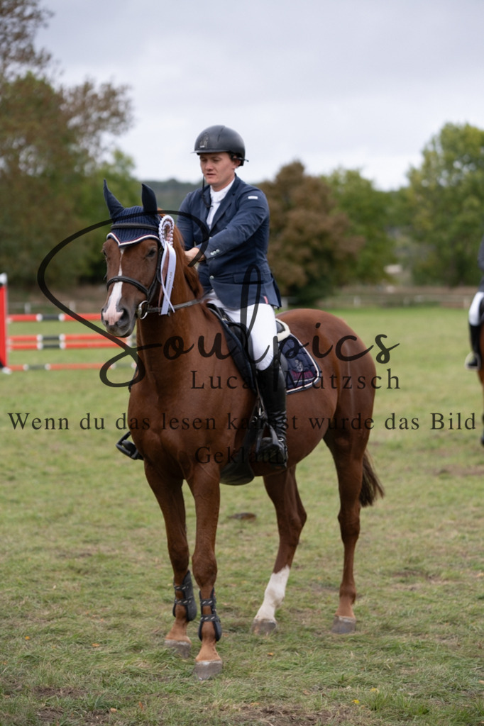 A7V07403 | Pferdefotograf