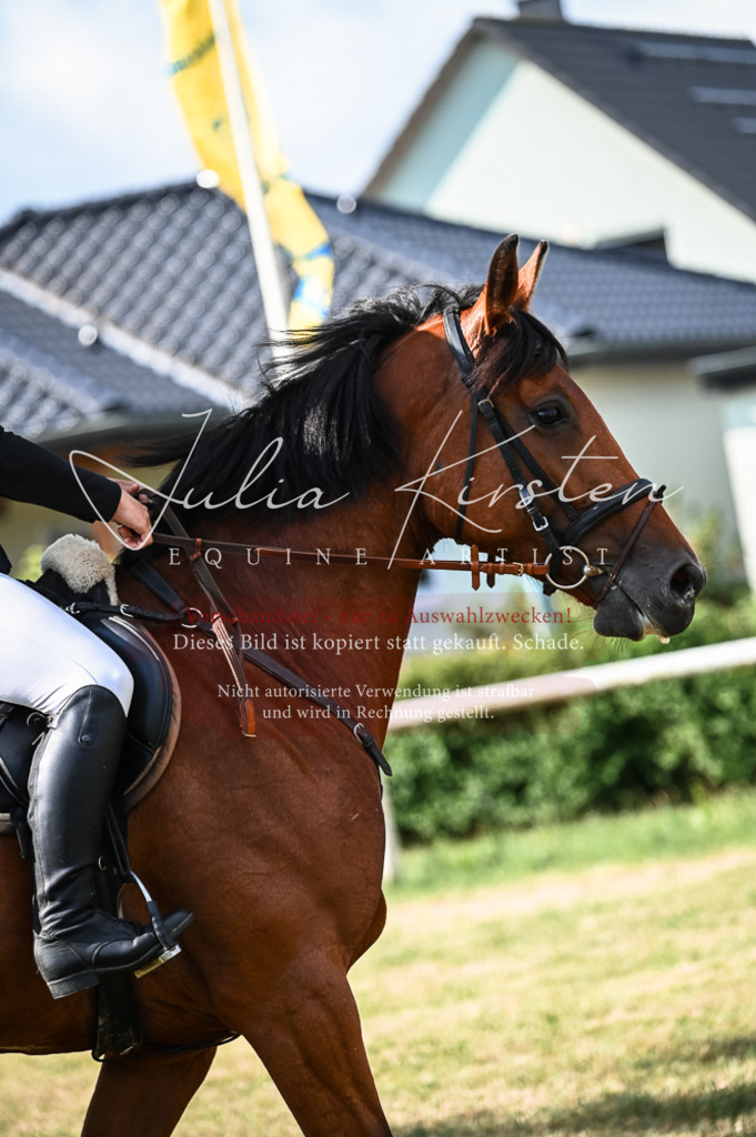 DSC_7796 | Pferde- und Turnierfotografie in Westsachsen. Pferdeportraits, Auftragszeichnungen und intuitive Kunst.