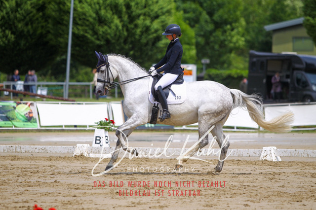 DKP40654 | Turniersportfotografie; Pferdefotografie; Dressurfotografie