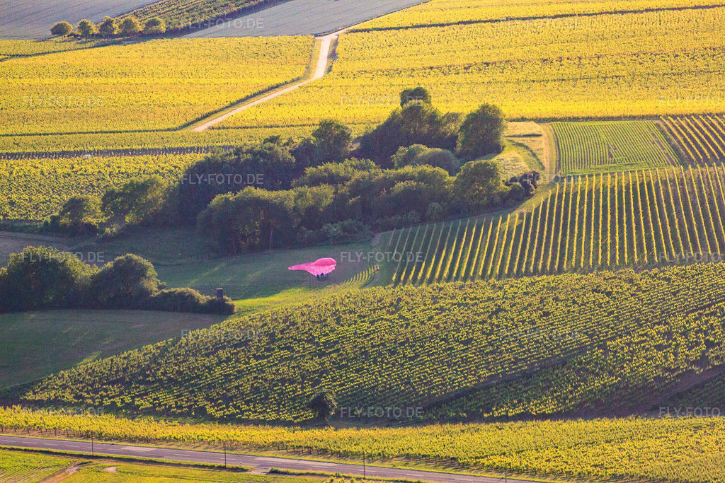 Luftbild: Ballonlandung an der B38 im Ortsteil Ingenheim in Billigheim-Ingenheim im Bundesland Rheinland-Pfalz in Deutschland. Foto: IMG_50127.jpg vom 05.06.2012 durch Werner Riehm/FLY-FOTO.de