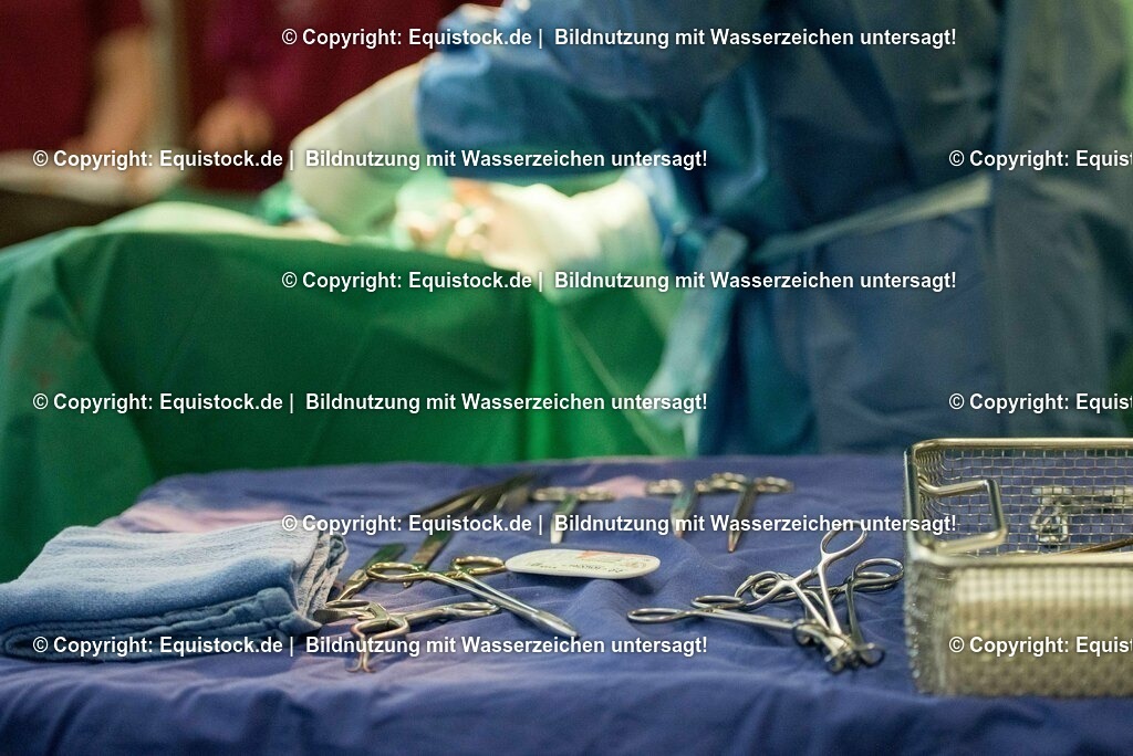 20160309_Sehnenschnitt_OP__0043 | equistock