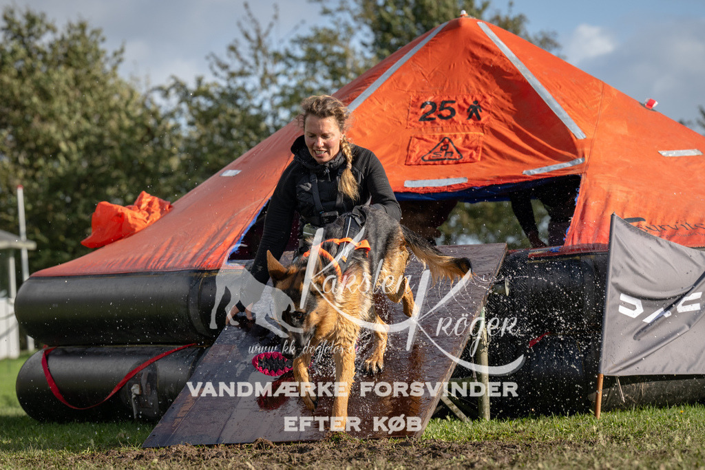 1429-94260 | kk-dogfotos