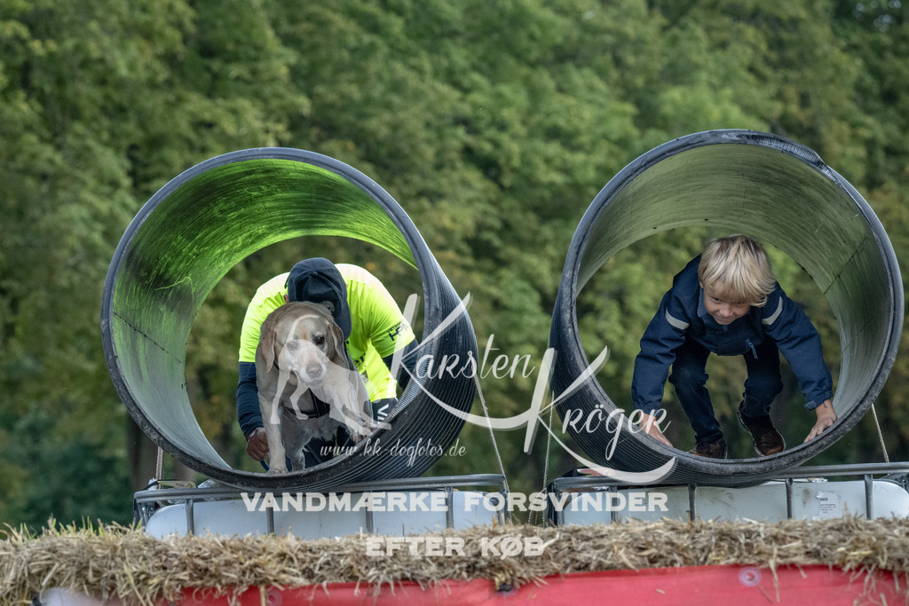 1049_ZZ93167 | kk-dogfotos