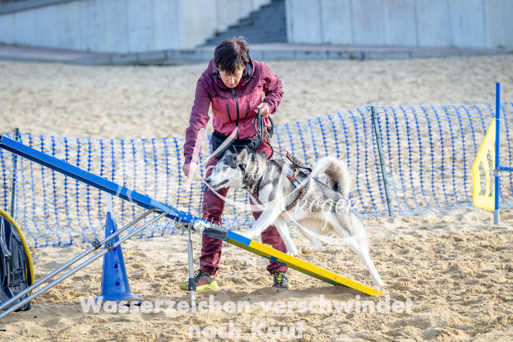 0953_ZZ92978 | kk-dogfotos