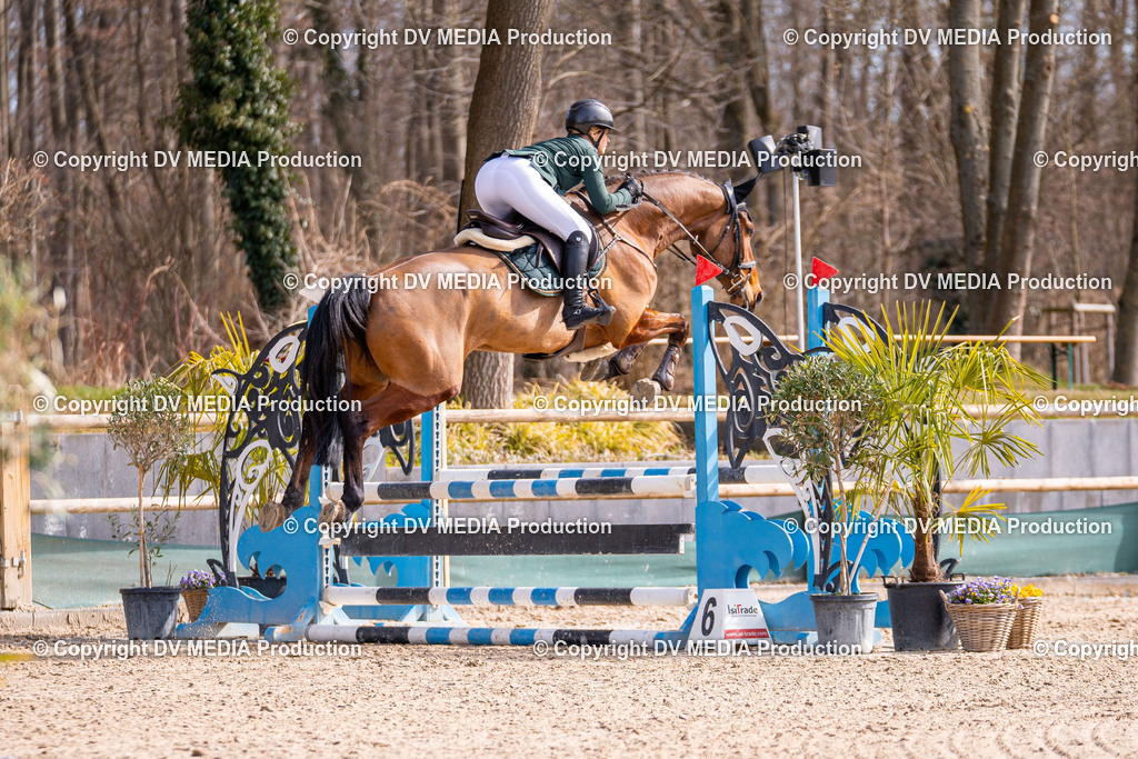 Kranichstein Tag 1-522 | dv-media-shop - Realisiert mit Pictrs.com