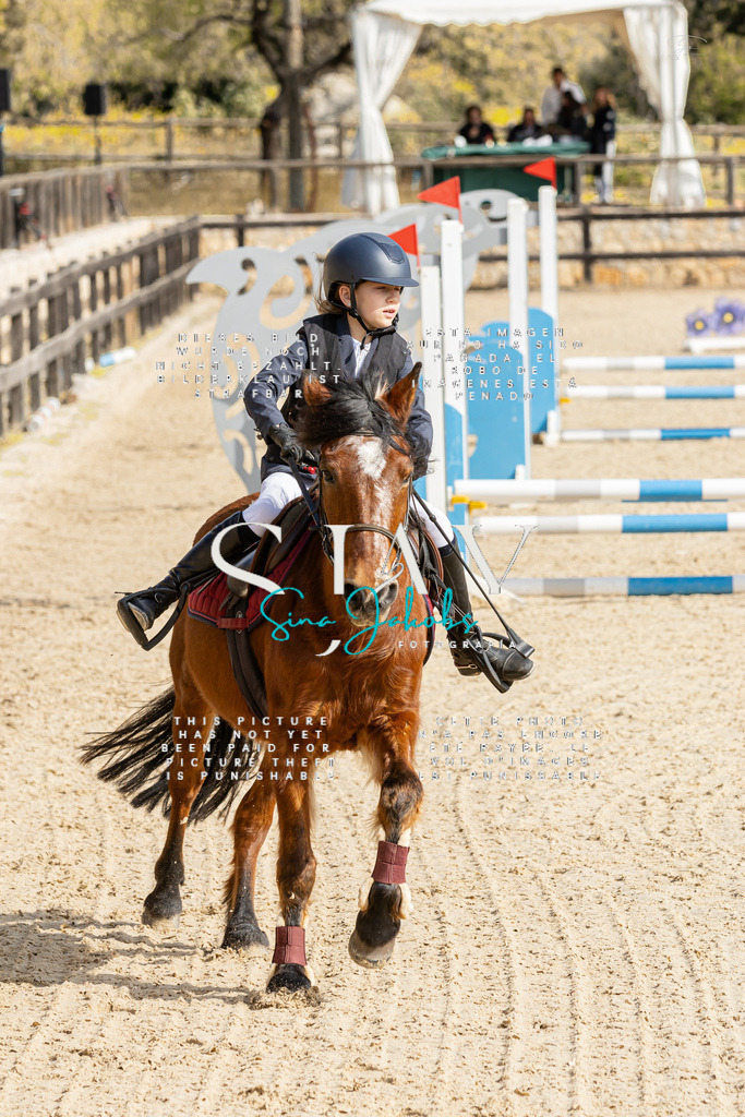 IMG_4377 | s-jay-photography - Realisiert mit Pictrs.com