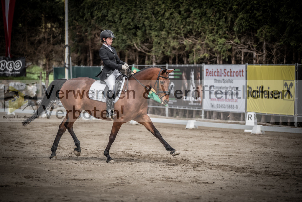 DSC_2406 | equestrian-live-com