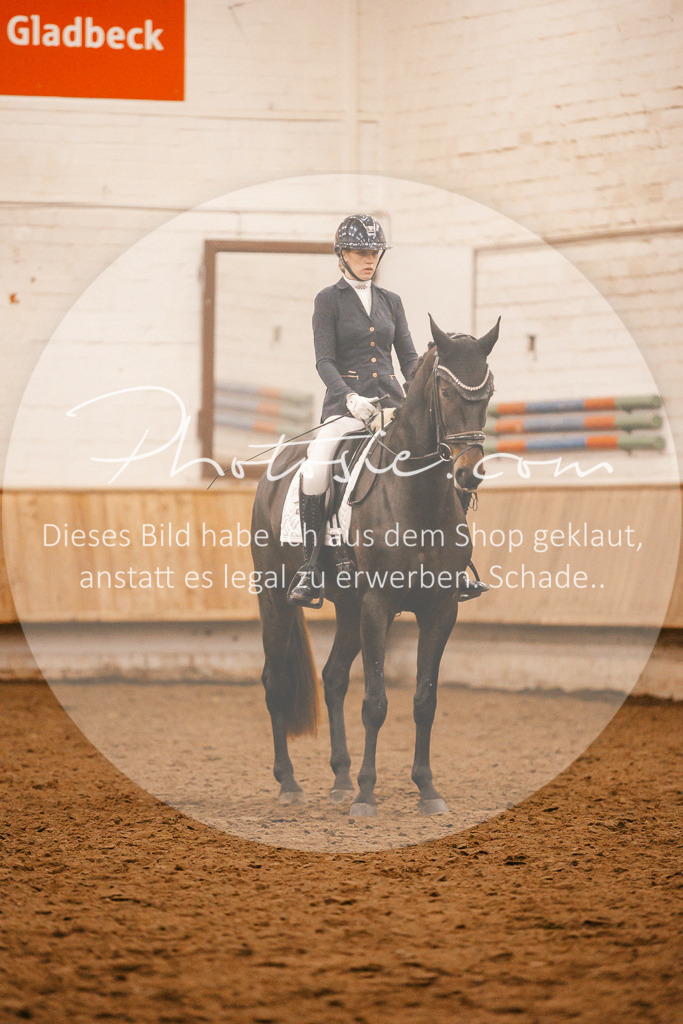 3I6A4788 | Stimmungsvolle Portraits und Reitsportfotografie im Ruhrgebiet und im Münsterland.

Pferdefotografie, Hundefotografie, Tierfotografie, Reportagen, Portraits von Tier und Mensch, Turnierfotografie in Bochum, Recklinghausen, Marl, Haltern am See, Dülmen.. - Realisiert mit Pictrs.com