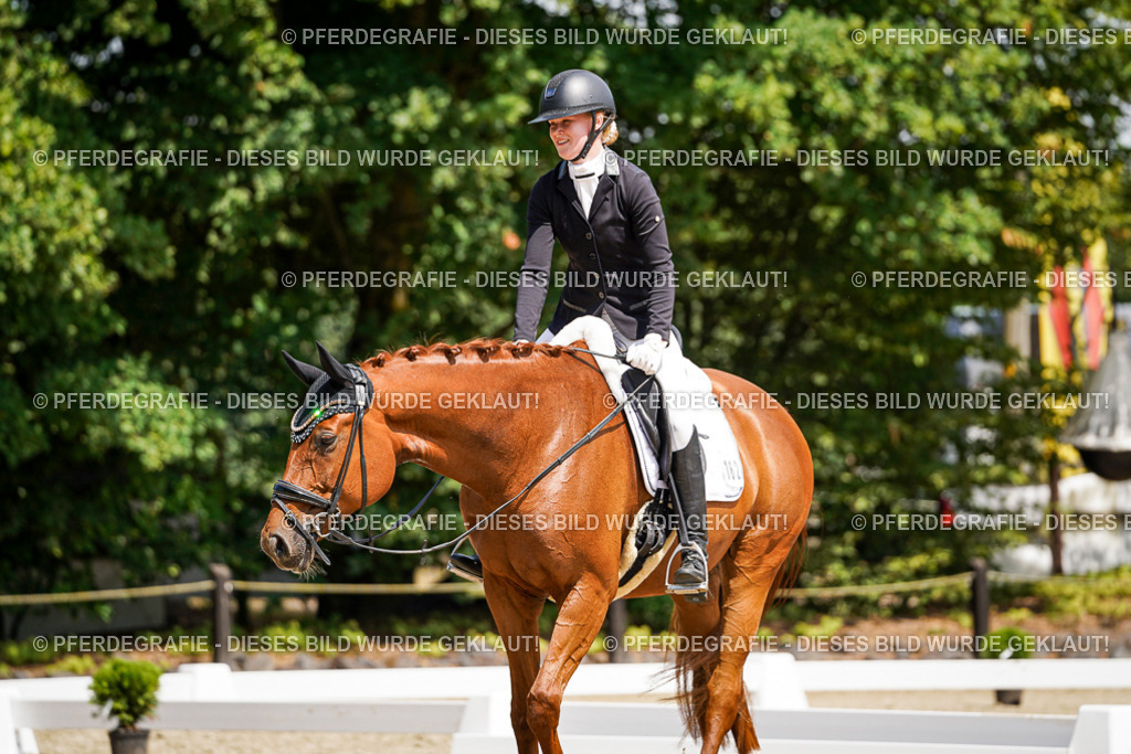 DSC00950 | Pferdegrafie