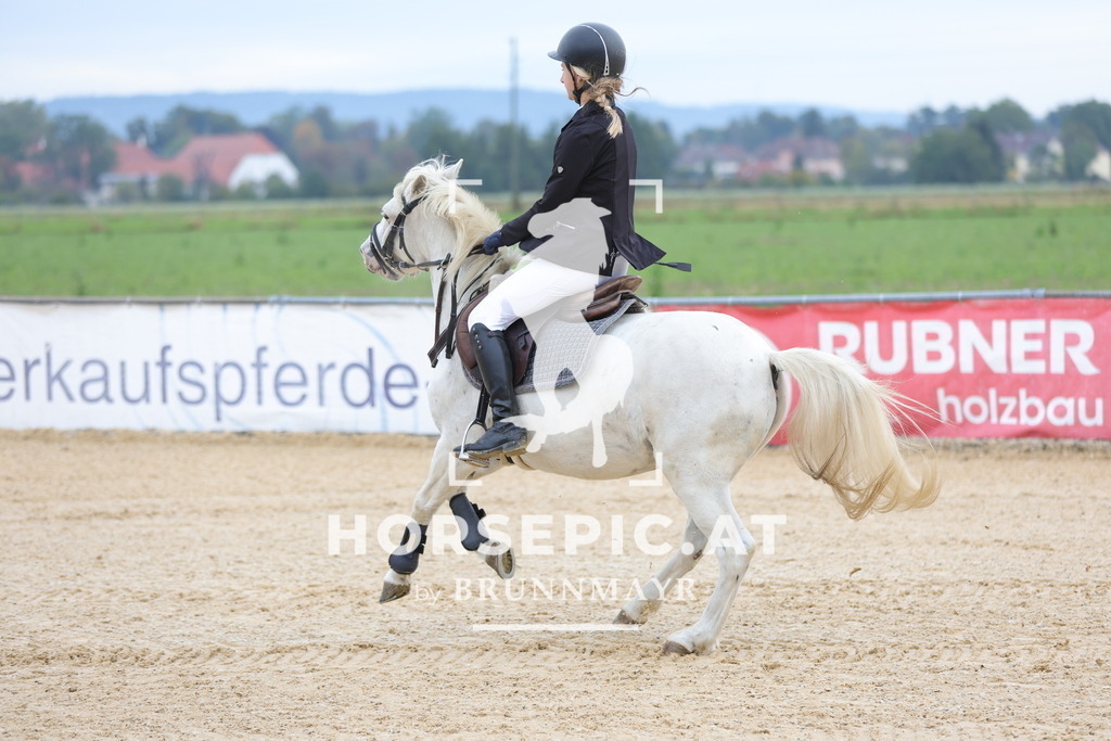 0P6A2632 | Willkommen bei Brunnmayr - Design & Fotografie – Ihrem Spezialisten für Reitturniere und Pferdeveranstaltungen in Oberösterreich, Salzburg und Bayern! Seit über 17 Jahren sind wir leidenschaftlich dabei.