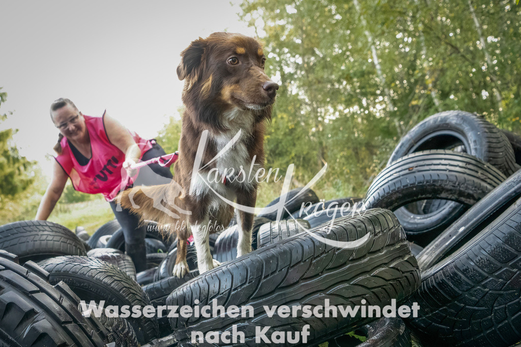 1034_ZZ94859-Bearbeitet | kk-dogfotos