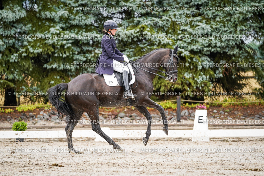 DSC09970 | Pferdegrafie