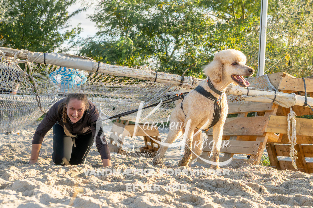 1653_ZZ90098 | kk-dogfotos