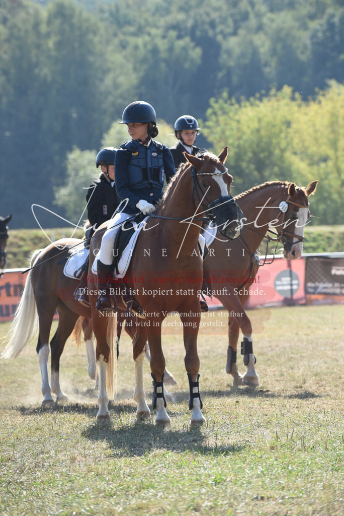 DSC_6137 | Pferde- und Turnierfotografie in Westsachsen. Pferdeportraits, Auftragszeichnungen und intuitive Kunst.