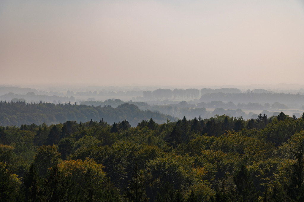 2023_09_10_WALD HAHNHEIDE_MCP2965 | Hochwertig gedruckte Fotografien für die Wand, als Kalender und zum Verschenken. Hamburg & Norddeutschland und überall wo ich mit der Kamera unterwegs war.