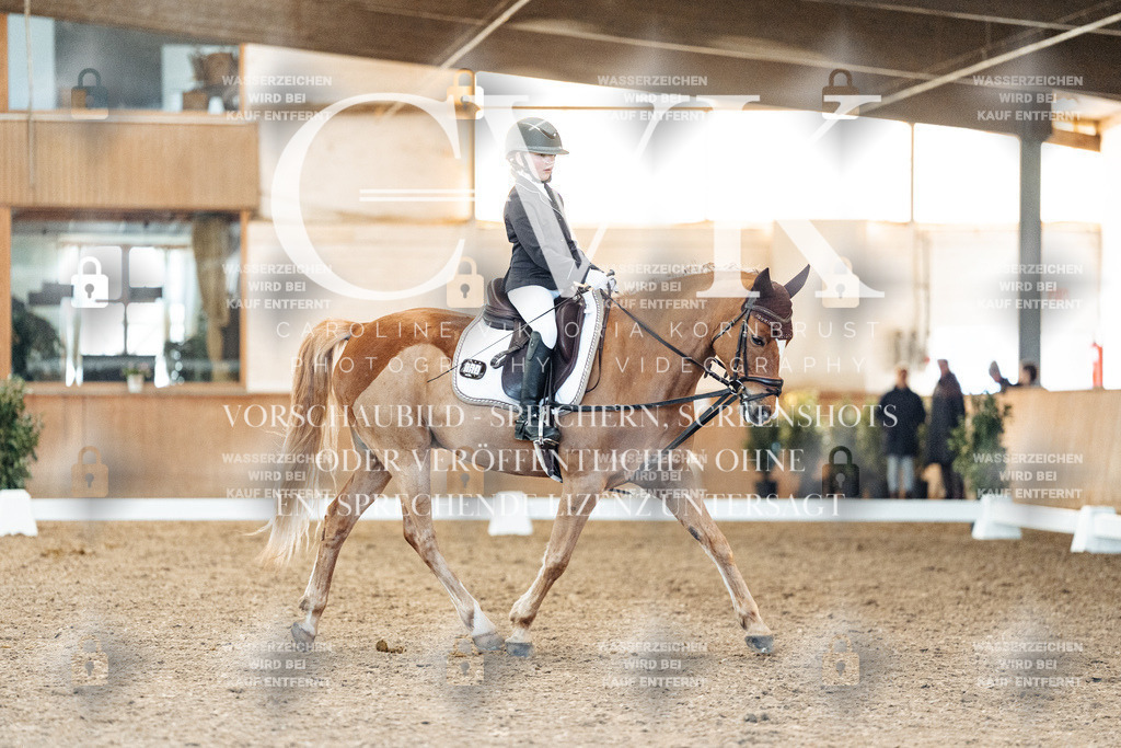 CK907979 | Turnierfotografie Pferdefotografie Trier Rheinland-Pfalz Pferdesport Reitsport Tierfotografie Sportfotografie Pferdevideo Pferdevideografie Equestrianvideography equestrianphotography  - Realisiert mit Pictrs.com