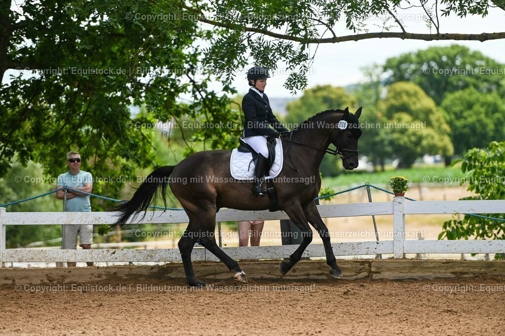 20230716_03_Dressurprfg. Kl.L - Tr._0346 | equistock