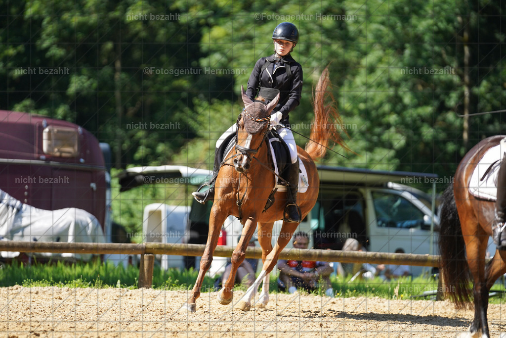20240706-FAH04862 | Grafing Turnierfotos, Reitverein Ebersberg, Turnierfotografen Bayern, reitsportbilder, Pferdefotograf, reitsportfotograf, Sportbilder, Reitsportfotografie, Fotoagentur Herrmann, Turnierfotograf