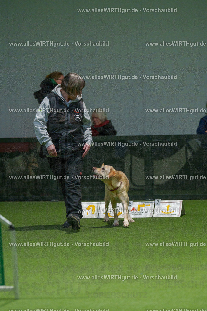 7R504586 | Professionelle Tierfotografie in Mönchengladbach von Daniel Wirth (allesWIRTHgut). Liebevolle & natürliche Bilder von Hunden & Katzen für unvergessliche Erinnerungen.
