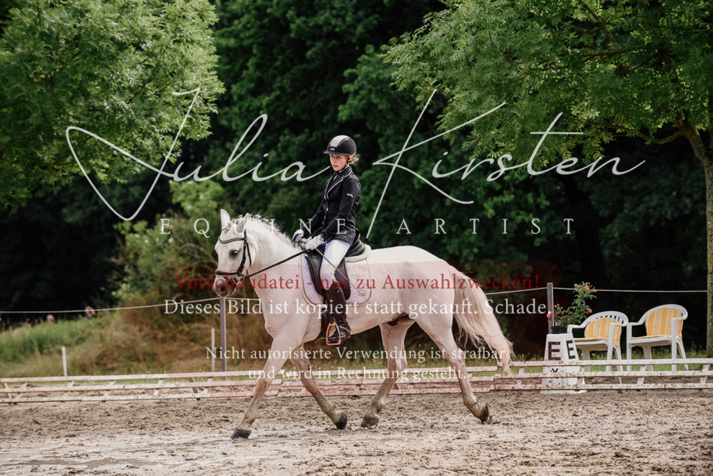 DSC_9455 | Pferde- und Turnierfotografie in Westsachsen. Pferdeportraits, Auftragszeichnungen und intuitive Kunst.