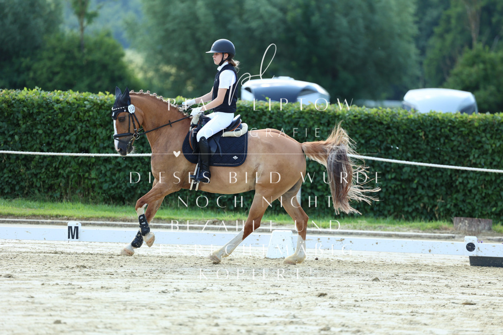 IMGM0757 | pl-fotografie